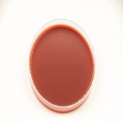 محیط کشت شکلات آگار / chocolate agar