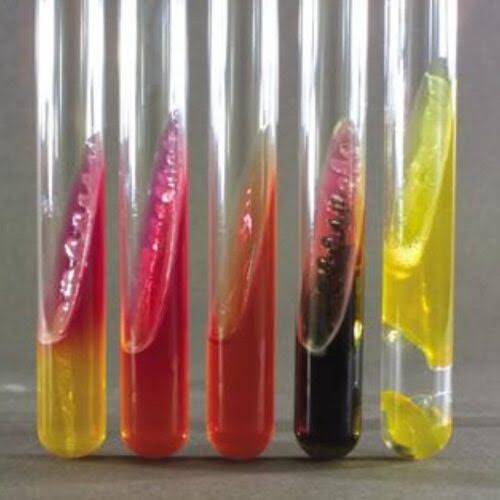 محیط کشت / TSI Agar