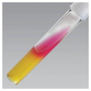 محیط کشت / TSI Agar